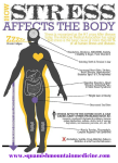 how stress affects the body